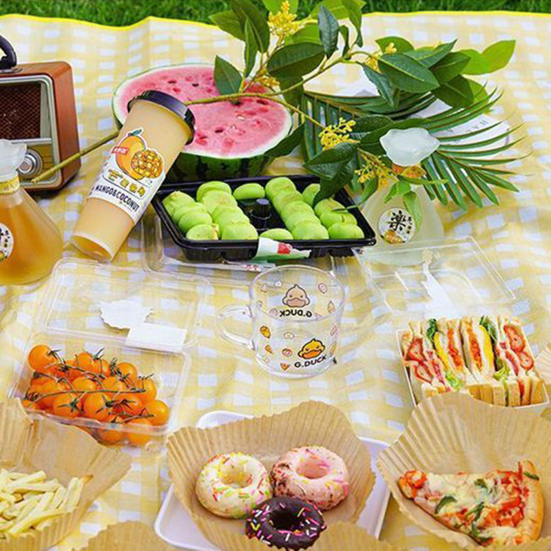 Internet-famous picnic mat moisture-proof mat thickened outdoor picnic cloth camping waterproof cushion portable moisture-proof cloth tent folding