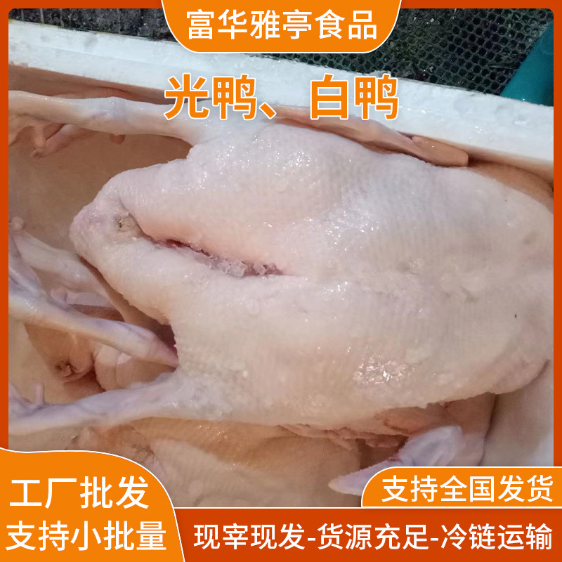 Freshly Killed White-Striped Duck, Braised Meat, Roasted Duck, Roasted Duck, Roasted Bacon, Restaurant and Restaurant Ingredients Supply Free-Range White Duck, Light Duck