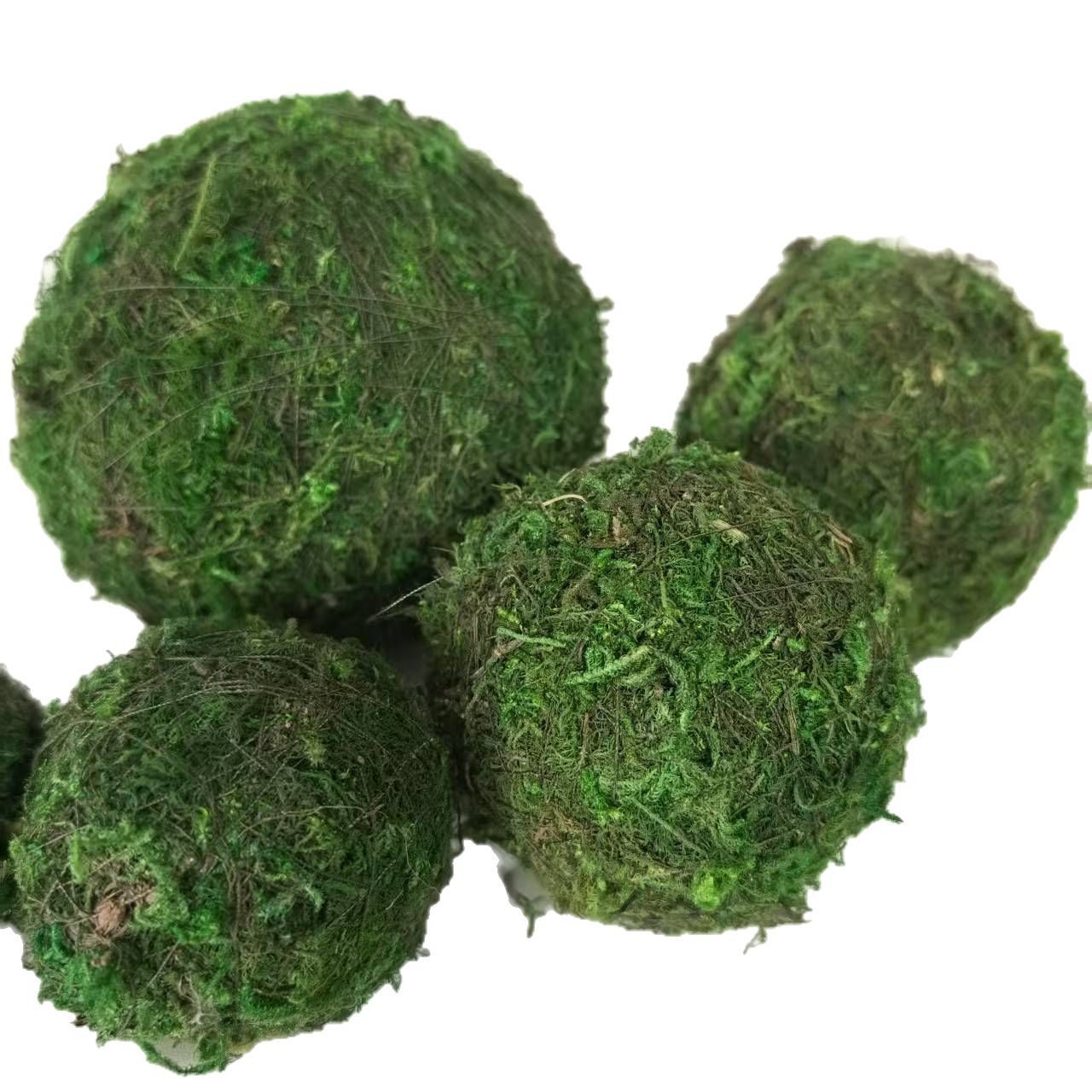 Supply moss ball exported to Japan and Europe gardening Moss flowerpot potted grass ball dried flower ball dried flower