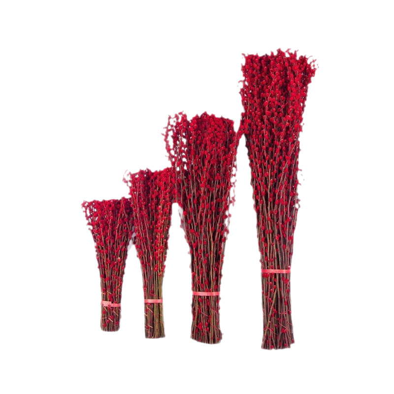 Silver Willow Real Flower Fresh Branch Red Dried Flower Water-Raised Flower Living Room Interior Decoration Lucky Dried Branch New Year's Eve Flower