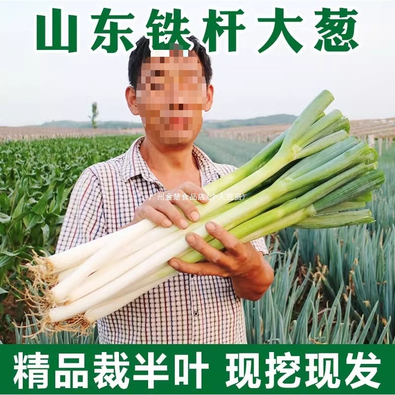 Фермерский 5 шандуньских зеленых луков, сезонные свежие овощи, целая коробка фермерского зеленого лука для соуса для макания