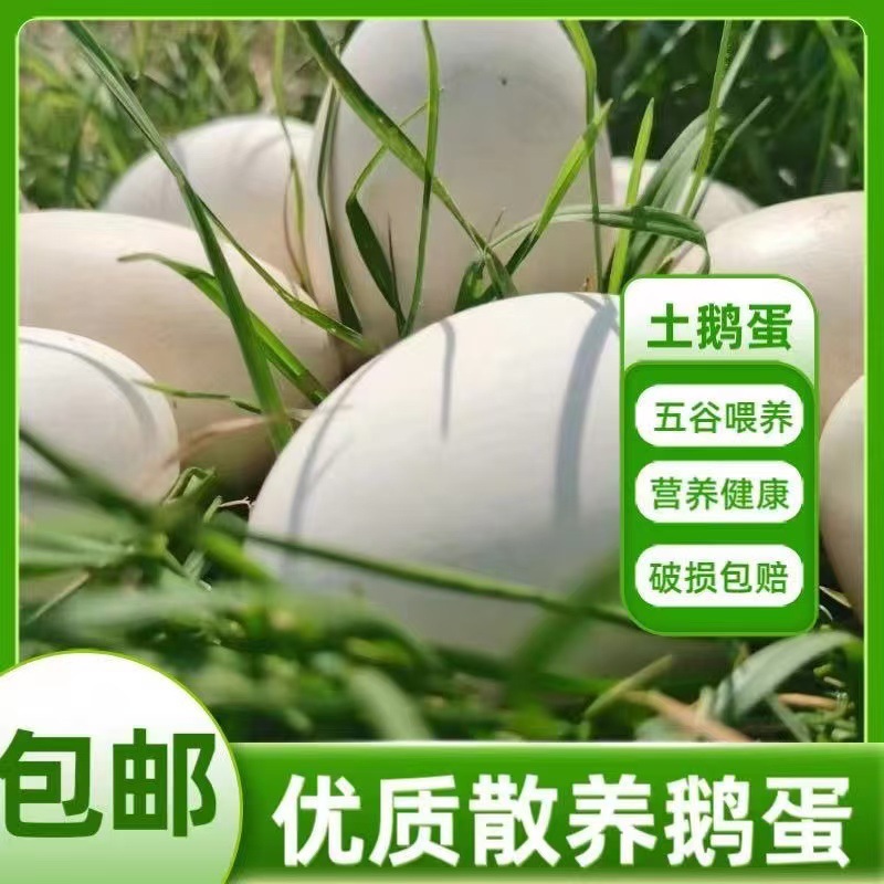 Goose Eggs 24-Hour Fresh Eggs Fresh Free-Range 12 Goose Eggs Farm Native Goose Eggs Nutritious and Healthy Free Shipping Wholesale