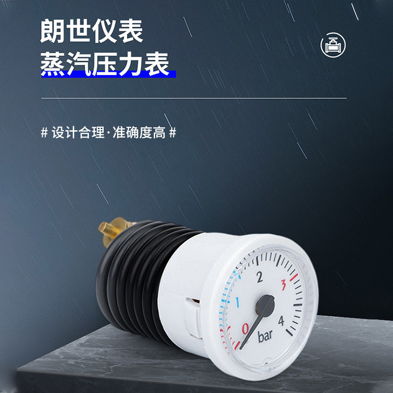 37mm with Capillary Pressure Gauge 0-4Bar Wall-Mounted Boiler Steam Vacuum Pressure Gauge Bt40001
