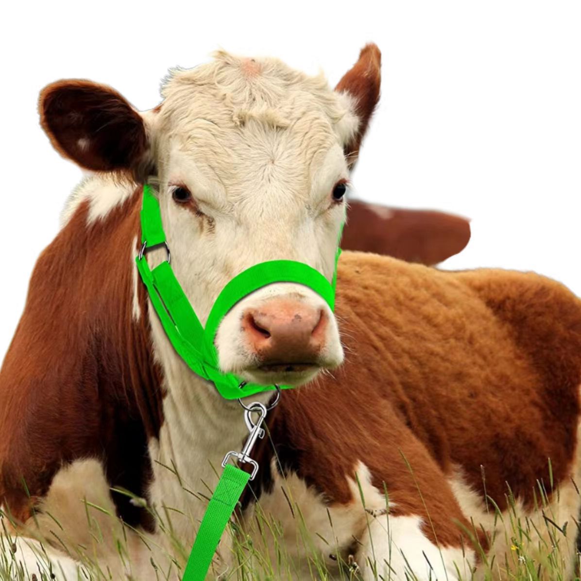 Кросс-бордерные товары для верховой езды, регулируемые намордники для коров и лошадей, слинги для коров и лошадей, тяговые веревки, нейлоновые веревки для коров и лошадей