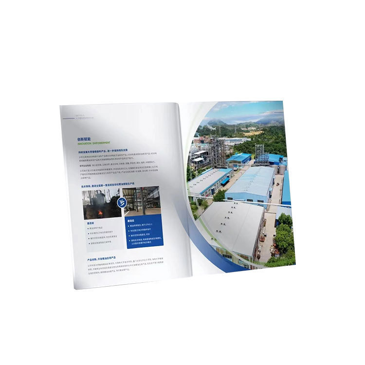 Album Black and White Colorful Instruction Printing Booklet Leaflet Color Page Menu Folding Poster Printing A5a6a4 Printing