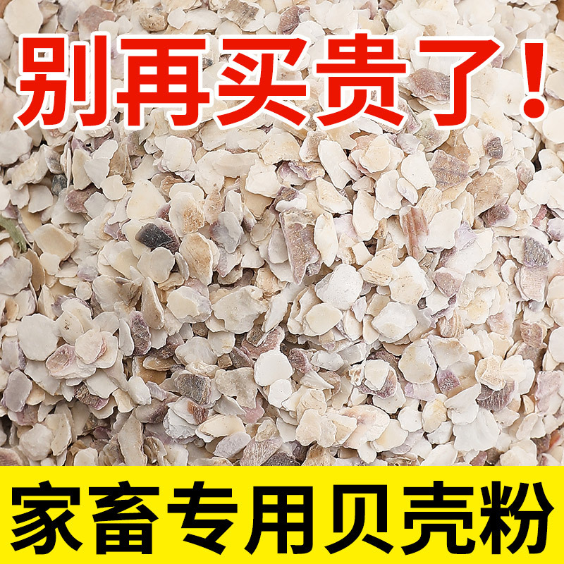 High Calcium Shell Powder Anti-pecking Oyster Calcium Bone-strengthening Shellfish Feeding Chicken Duck Goose Pigeon Special Additive Feed for Poultry