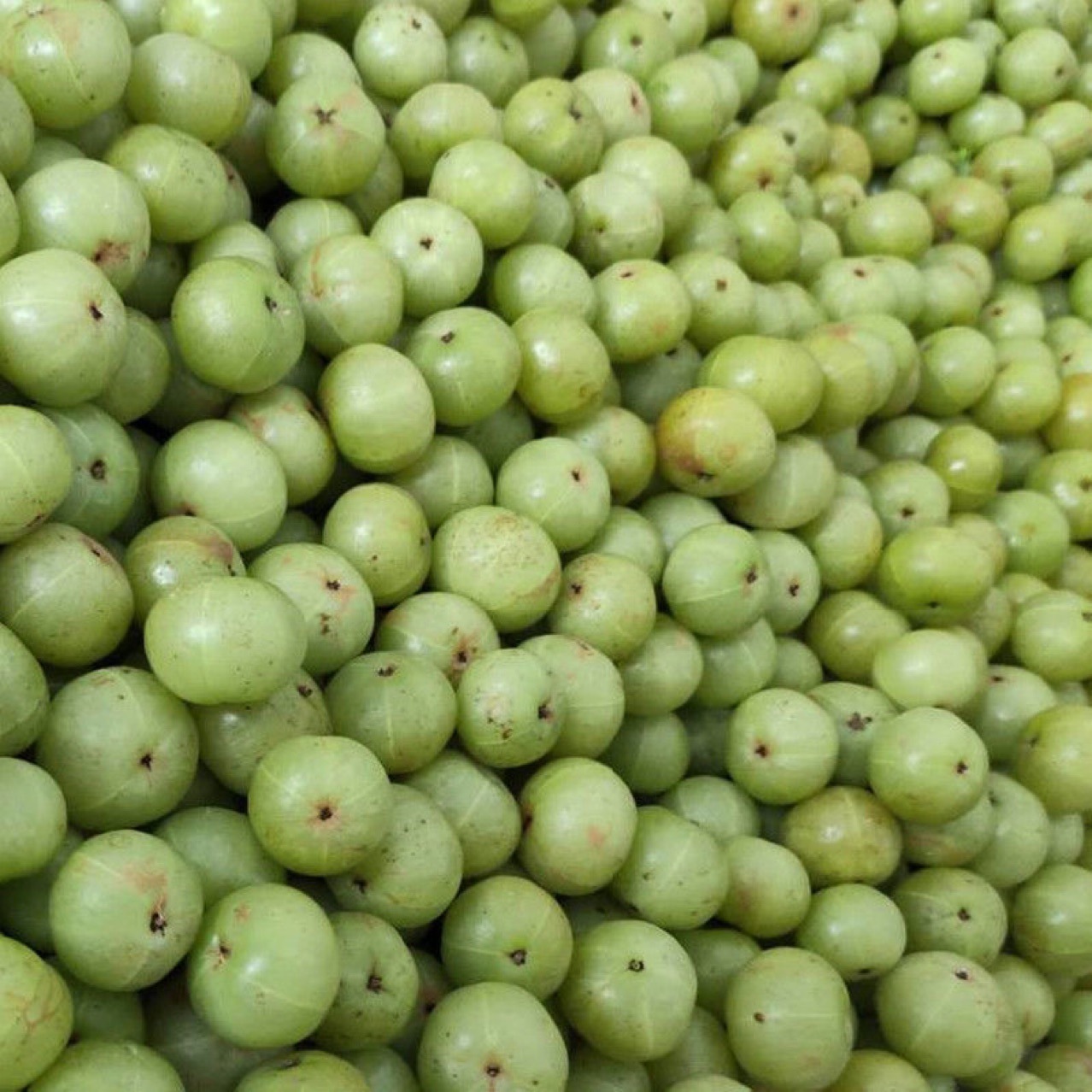 Сладкий глицерин, выставочный стенд, специальность Чаошань, сладкий глицерин, провинция Гуандун, бесплатная доставка, фруктовый глицерин