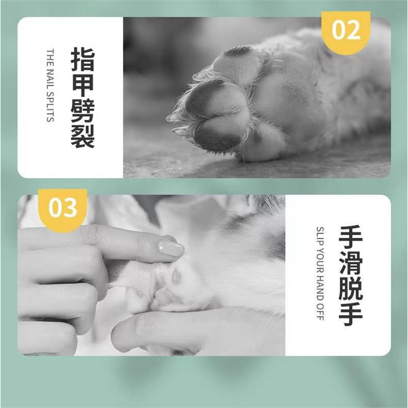 Cat special nail clippers round hole nail clippers stainless steel pet small blind clippers cat nail clippers cross-border pet supplies