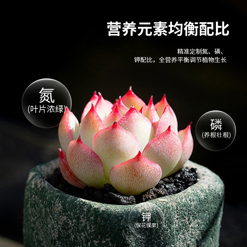 Fertilizer Exhibition Home Gardening Flower Fertilizer Household Flower Cultivation Universal NPK Fleshy Potted Organic Flower Sustained Release Tablets