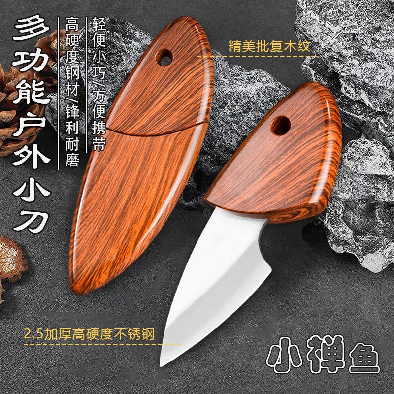 Мини-нож для фруктов и мяса, высокопрочный, складной, портативный нож для кемпинга