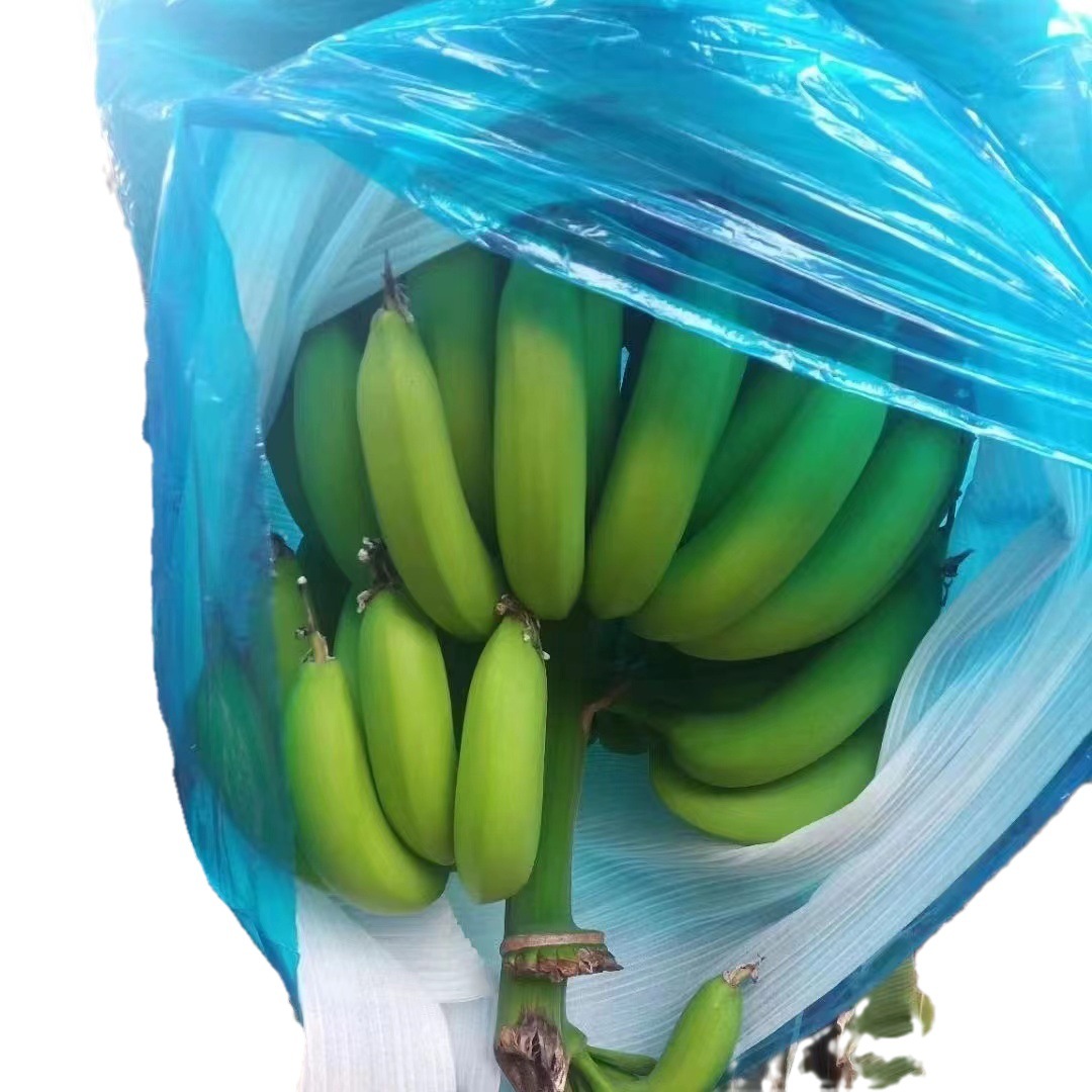 Banana Packaging Bag Thickened Heat Preservation Rain-proof Cold-proof Insect-proof Bag Banana Bag Pearl Cotton Protective Bag Ripening Planting Bag