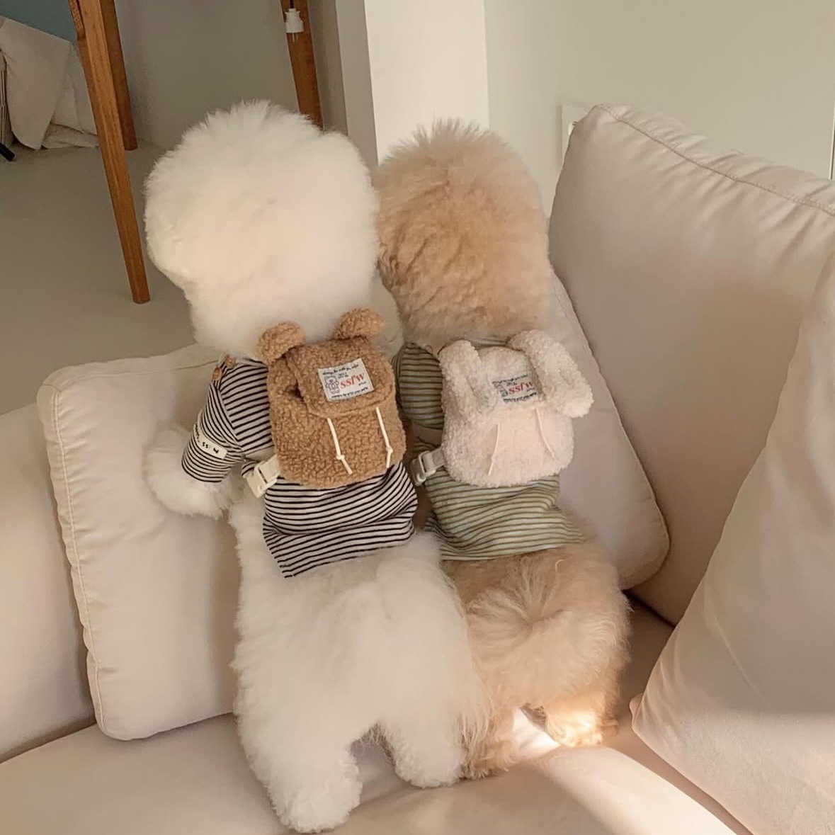 Рюкзаки для щенков и котят, сумки для экскрементов, закусочные сумки, оптовая продажа