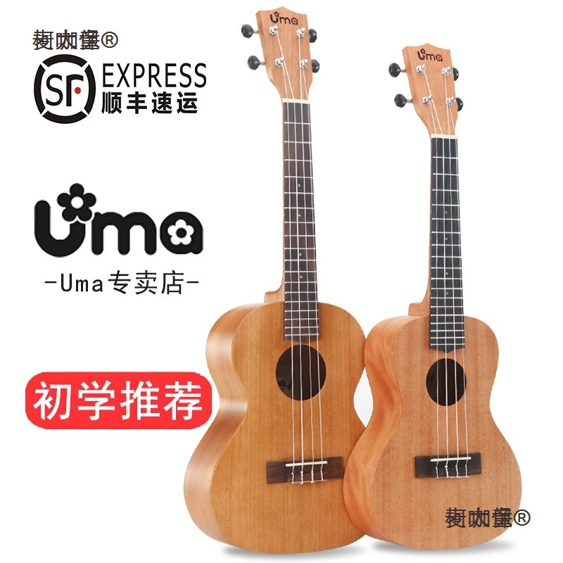 Ukulele for Beginners 23inch Small Guitar for Students Entry-Level Kidsren Boys and Girls Adult Ukulele Metabo