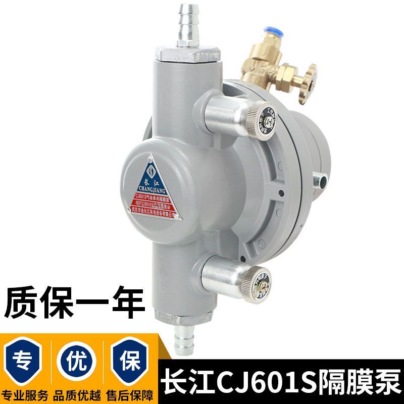 Односторонний пневматический диафрагменный насос Янцзы Cj601S, полный комплект для печати на картоне, специальный насос для чернил