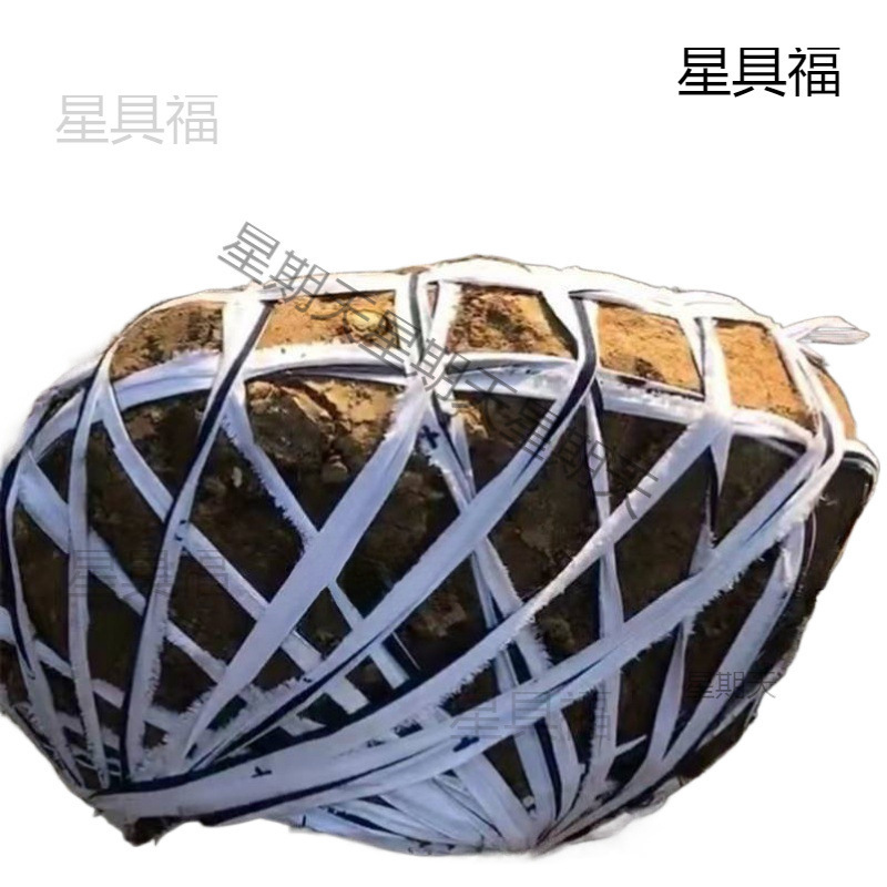 Weather-Resistant Fabric Strips, Ropes, Binding Ropes, Flat Straps, Household Binding Straps, Pocket Ties, Fruit Tree Ties