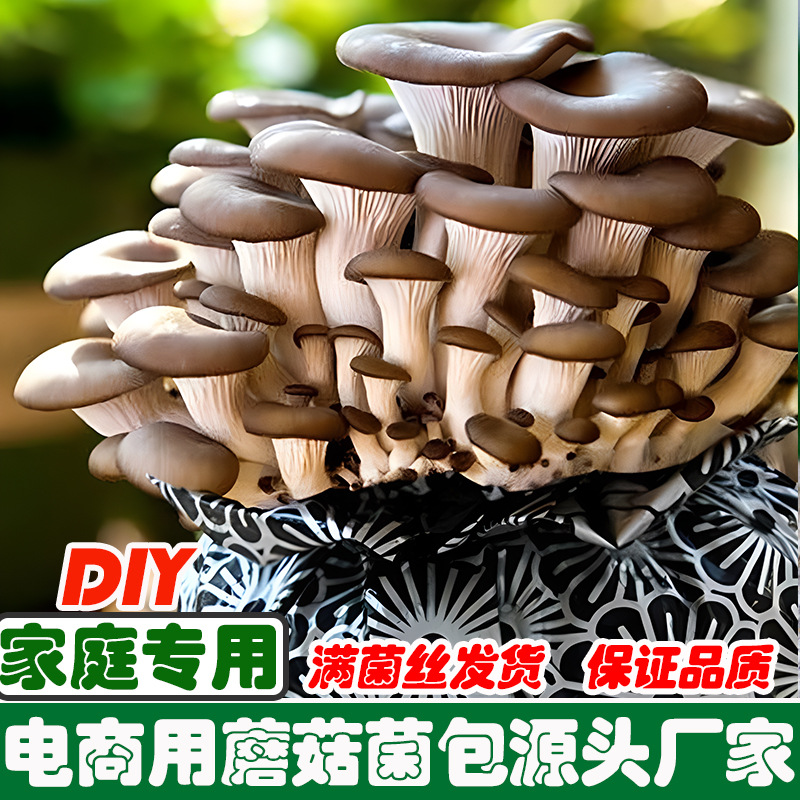 [Оптовая продажа малых пакетов для электронной торговли] Пакеты для посадки грибов, пакеты для грибов, плоские грибы для домашнего посадки в горшках, самосаживающиеся домашние растения
