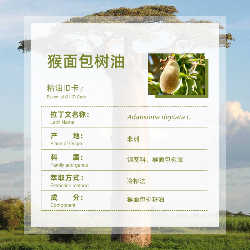 Directly Supplied from the Place of Origin, African Baobab Oil, Cold-Pressed Pure Aromatherapy Skin Care Raw Materials, Wholesale Base Oil, Baobab Oil