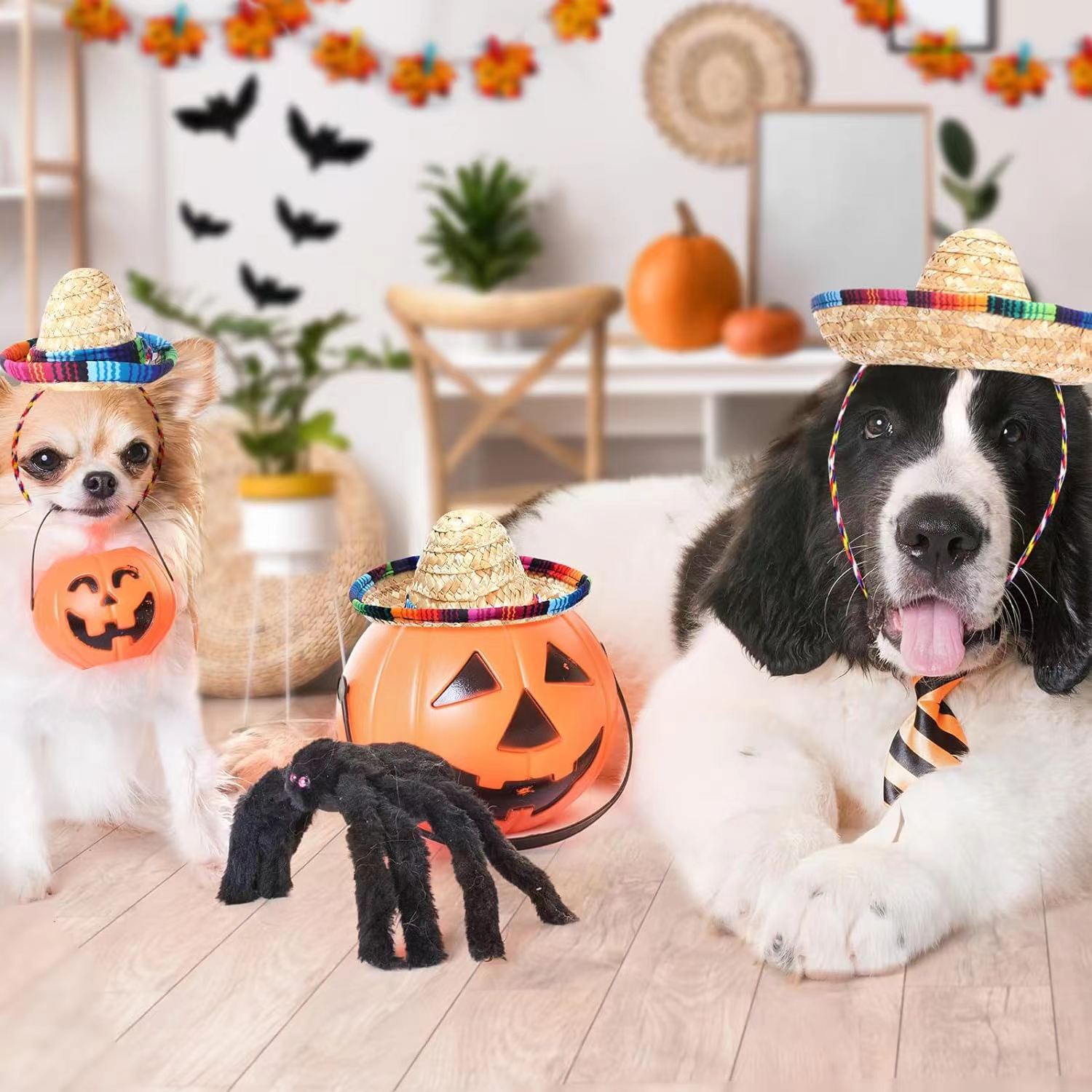 Cross-border Amazon Carnival Halloween hat birthday party supplies adult children Mexican pet small hat