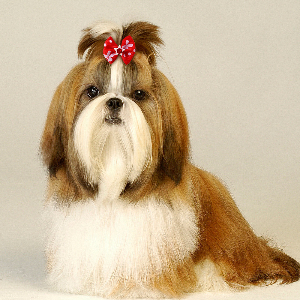 Pet Supplies Pet Bow Rubber Band Hair Band Dog Head Flower Hair Rope Headdress Dog and Cat Accessories in Stock