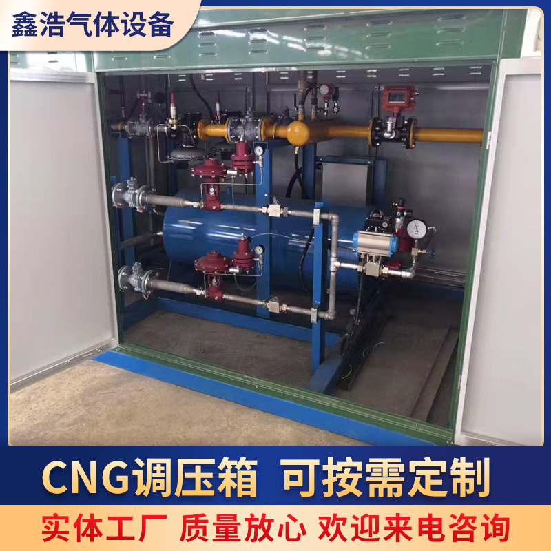 Day Gas Gas Equipment Manufacturers Cng Gas Regulator Box Cng Regulator Box Cng Pressure Reducing Pry Pressure Regulator Cabinet