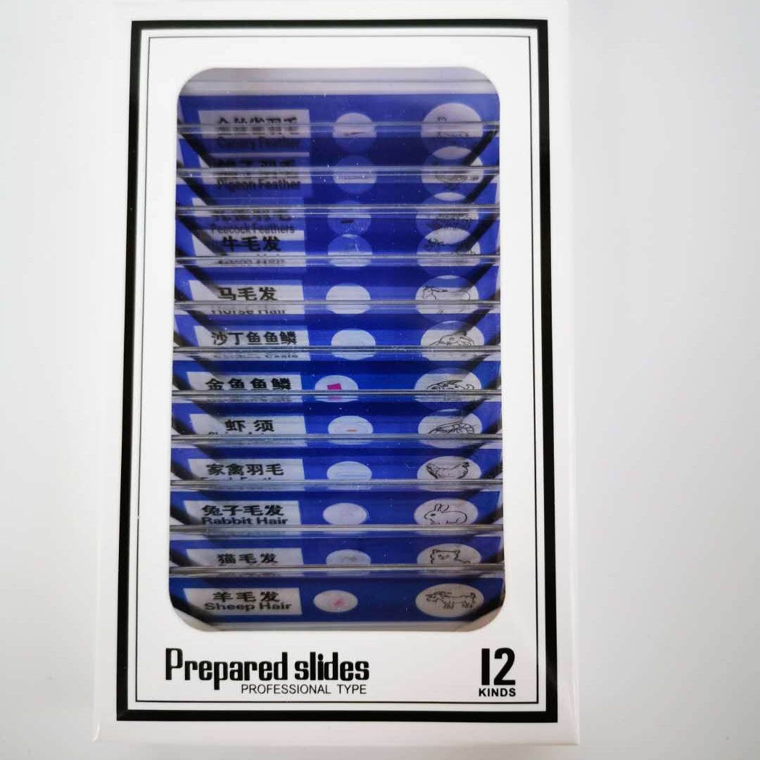 Portable Microscope Children's Plastic Specimen Children's Experimental Biological Slide Specimen Slice