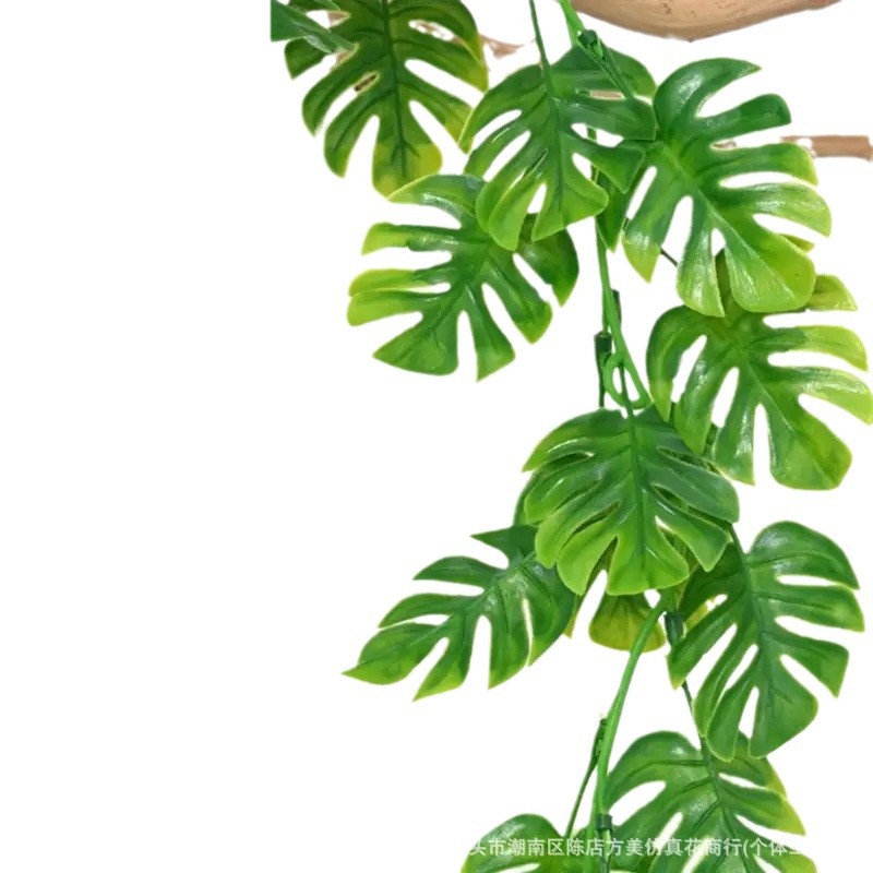 Simulation Plant Vine Vine Green Plant Wall Hanging Decoration Living Room Indoor Chlorophyllum Decoration Wall Hanging Jianglong Weeping Willow Leaves
