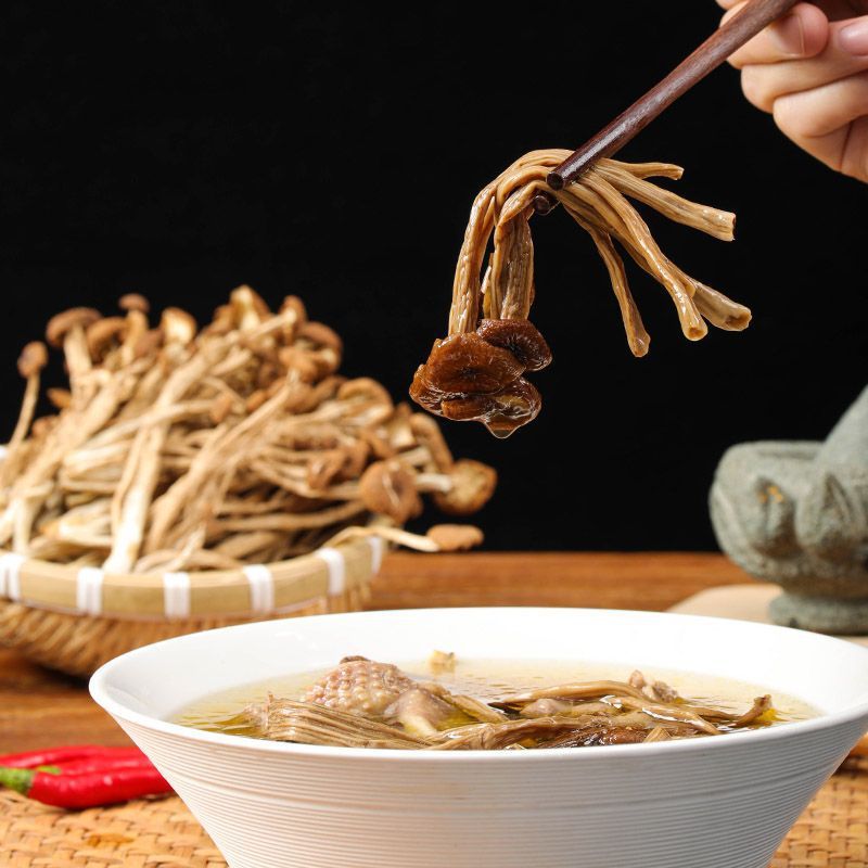 不开伞干茶树菇农家新鲜采摘古田茶树菇500g香菇菌菇煲汤食材批发