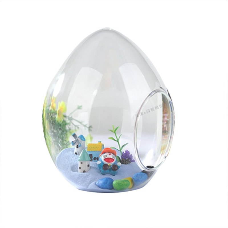 Micro-Landscape Ecological Bottle Egg-Shaped Succulent Plant Vase Moss Landscaping Bottle DIY Creative Ornaments Manufacturer Wholesale