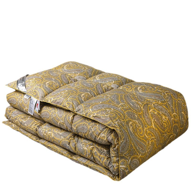 Amazon Temu Cross-Border Home Textiles Export Export Feather Velvet Quilt Winter Quilt Gift Quilt Tv Shopping Live Broadcast