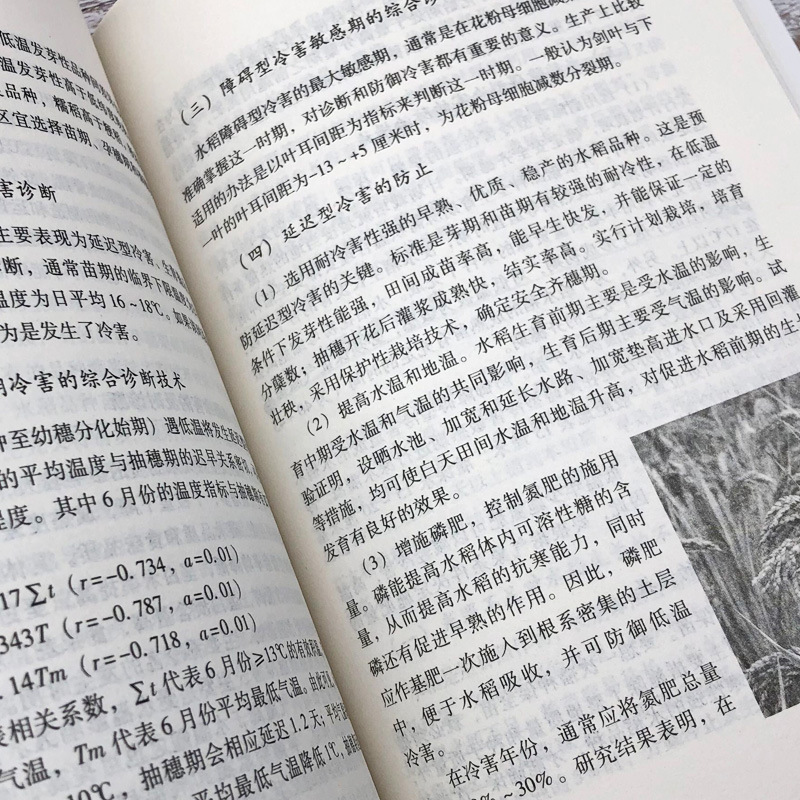 Modern Rice Cultivation Techniques with High Yield and Good Quality