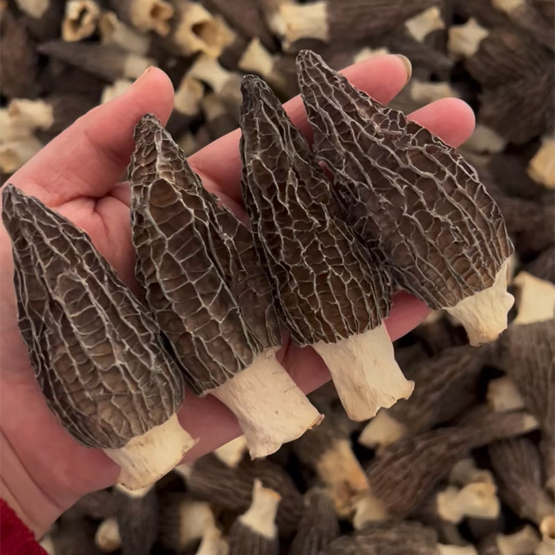 Премиум сморчки 250г, оптовая продажа, подарочная коробка