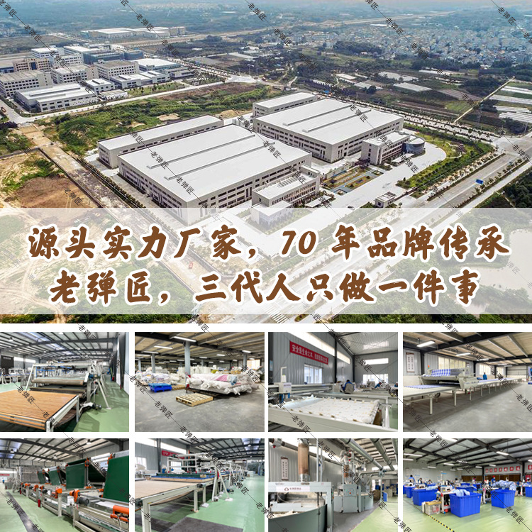 Xinjiang Cotton Quilt Quilt Core Quilt Mattress Cotton Cotton Wool Quilt Thickened Dormitory Student Bedding Quilt Single