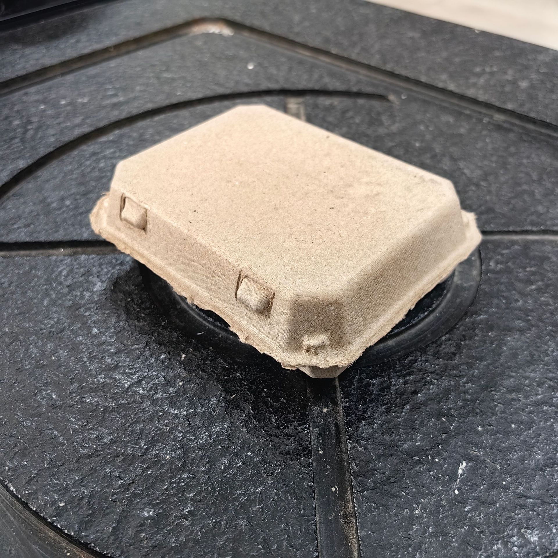 Box of 12 Quail Eggs, Shockproof Quail Egg Carton, Pulp Supply, Biodegradable Manufacturer