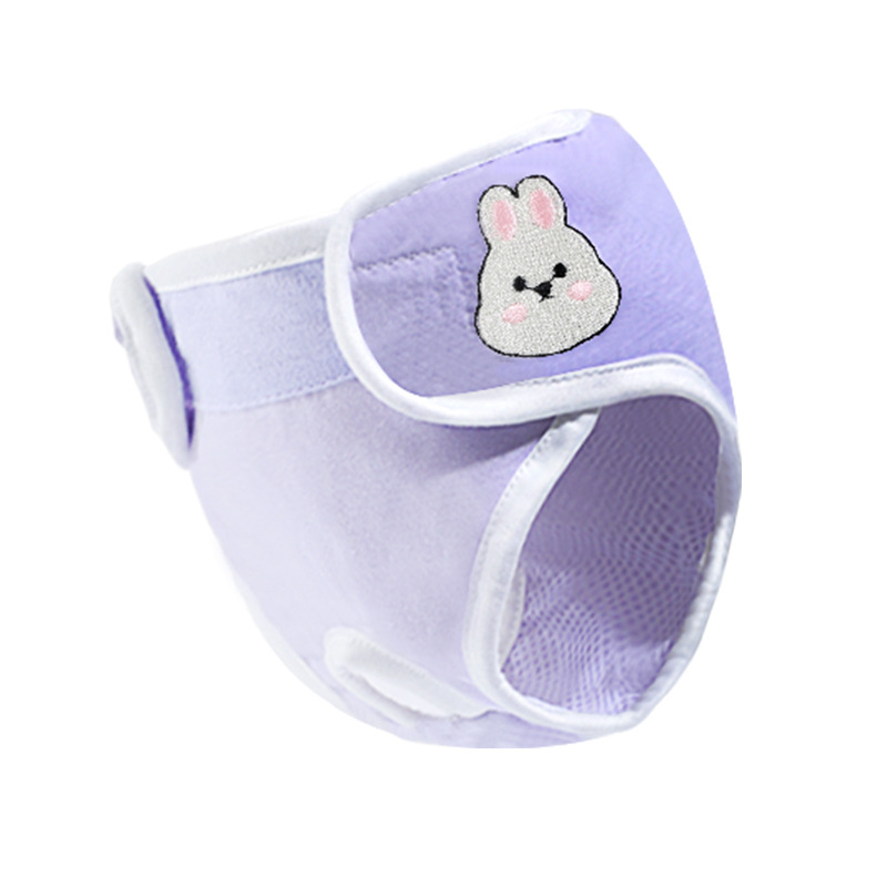 Pet underwear Teddy aunt towel menstrual sanitary pants puppy anti-harassment diapers diaper diaper female dog physiological pants