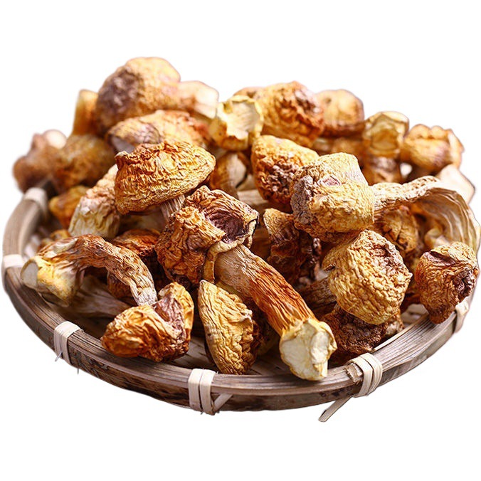 Net Weight Agaricus Blazei Fresh Dried Yunnan Specialty Edible Farm Mushroom Mushroom Brazil Mushroom Agaricus Blazei Soup