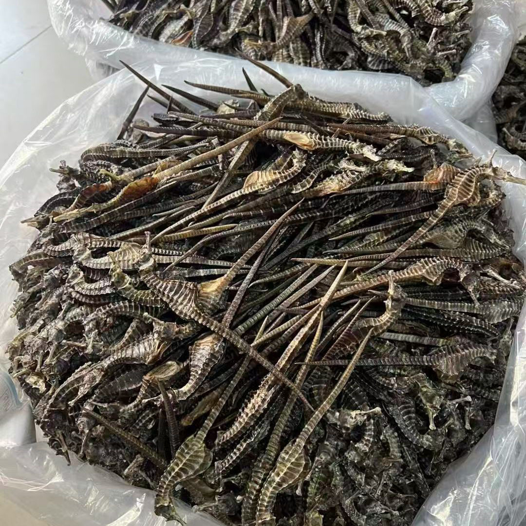 in stock Hippocampus Wholesale Traceability Code Hippocampus Aquatic Dry Goods Sea Line Pattern Hippocampus Soup Bag Soaking Wine Chinese Herbal Medicine