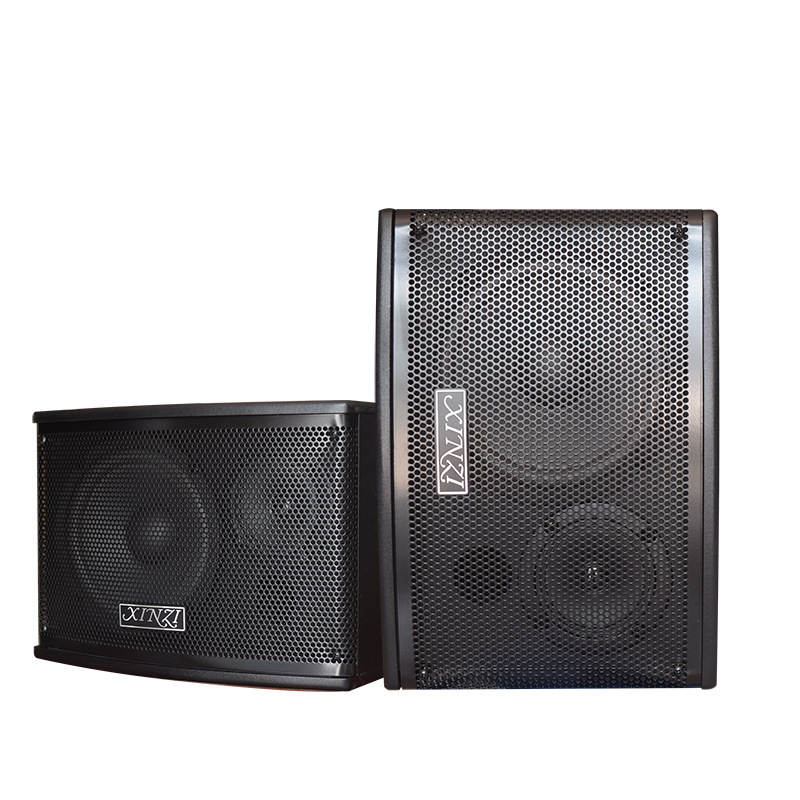 Family KTV high-power card speaker 8 inch 10 inch multimedia fitness conference dance room background audio wholesale