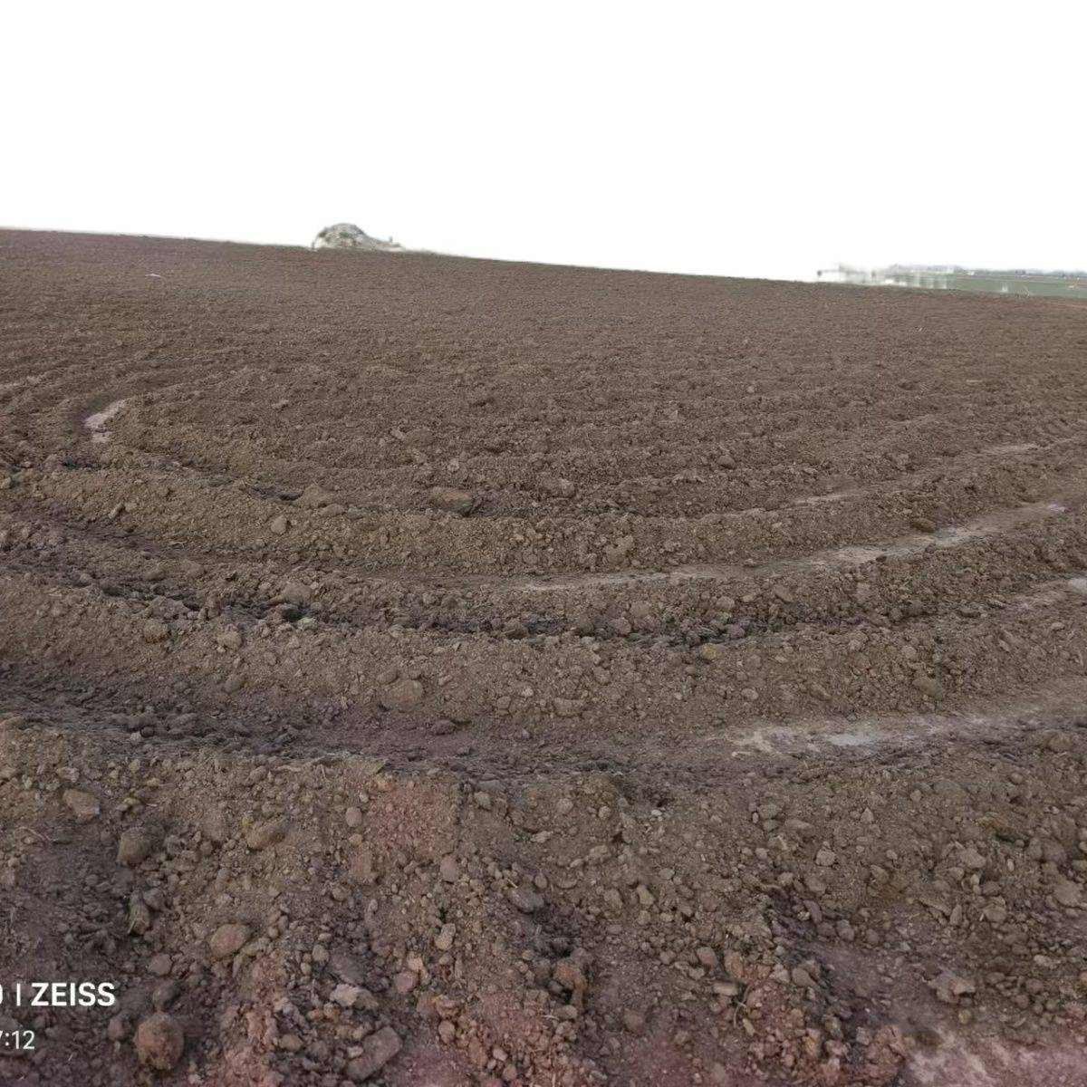 Pure Cow Manure, Dry Cow Manure Blocks, Organic, Pure and Natural, Fresh Dry Cow Manure, Suitable for Raising Earthworms, Flowers and Vegetables