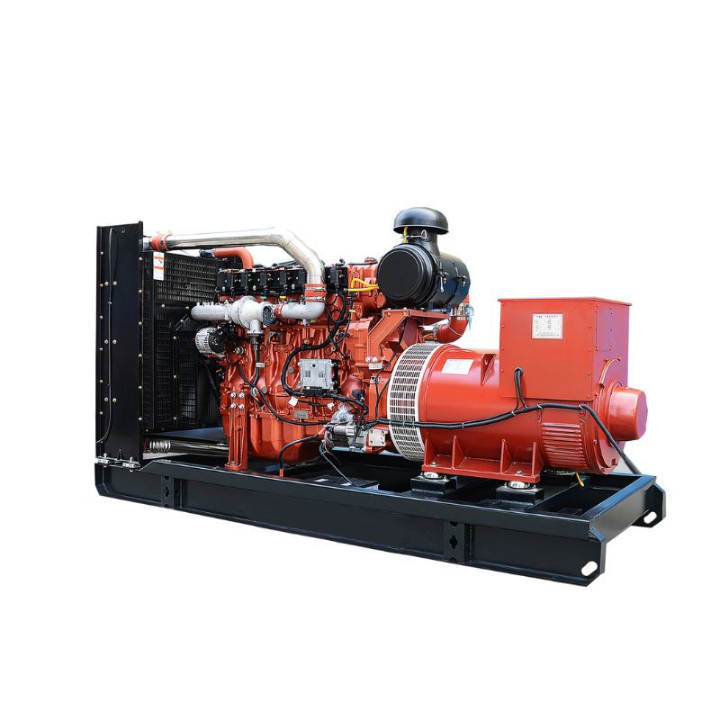 Natural Gas Biogas Straw Sawdust Biochemical Generator Set Can Be Used as a Cng Gas Generator Thermal Energy Power