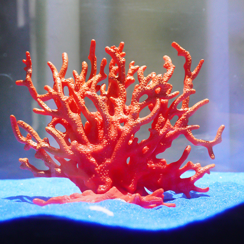 Soft Coral Real Bonsai Aquatic Plants Fish Tank Aquarium Landscaping Decoration Seawater Tank Scenery Hot-Selling Product Luminous Coral