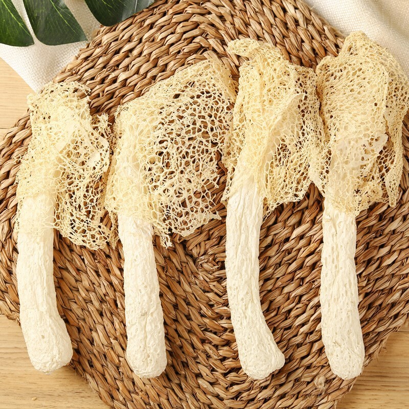 Dried Bamboo Fungus Non-500G Special Grade Wild Natural Bamboo Fungus Self-Produced and Sold Edible Mushroom Specialty 2024 New Goods