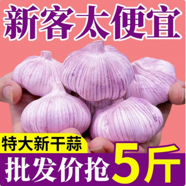 Shandong Purple-Skinned Garlic 5.5 to 6.5cm Garlic King Shandong New Garlic Heads Farm-Grown Wholesale Direct Sales from the Place of Origin