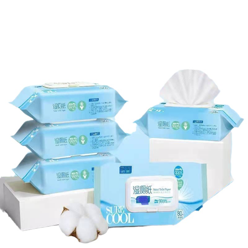 Wet Toilet Paper for Women's Private Parts, Household Toilet Wipes for Cleaning, Sanitary Wet Wipes in a Bucket, New Model for Cleaning