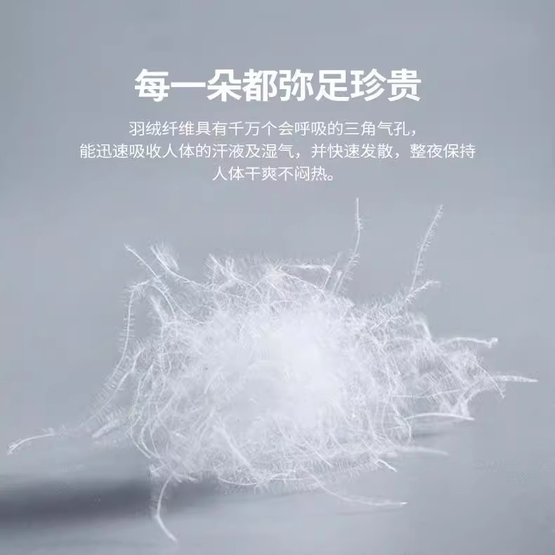 Luxury Hilton Hotel 95 White Goose down Pillow down Pillow Core Pair of Students Antibacterial Home Cervical Spine Sleep