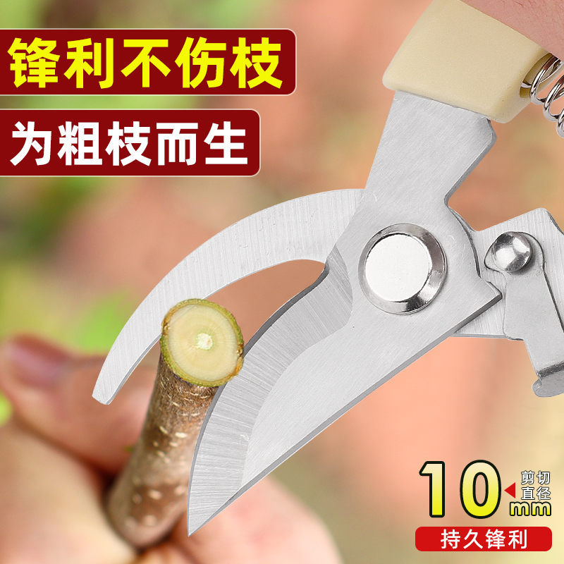 gardening shears pruning shears flower shears garden shears flower shears branches fruit tree scissors branch shears pruning flower shears