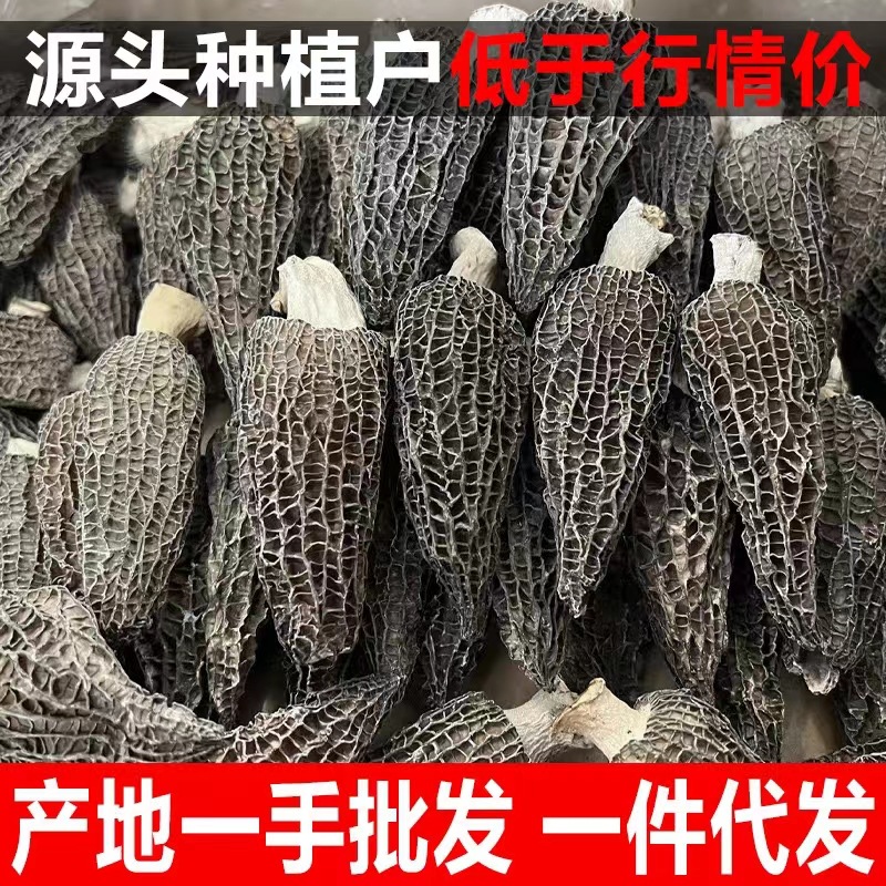 New Yunnan Specialty Morel Mushrooms 250g Dry Goods from the Source Manufacturer Jintang Origin Direct Delivery Wholesale Free Shipping