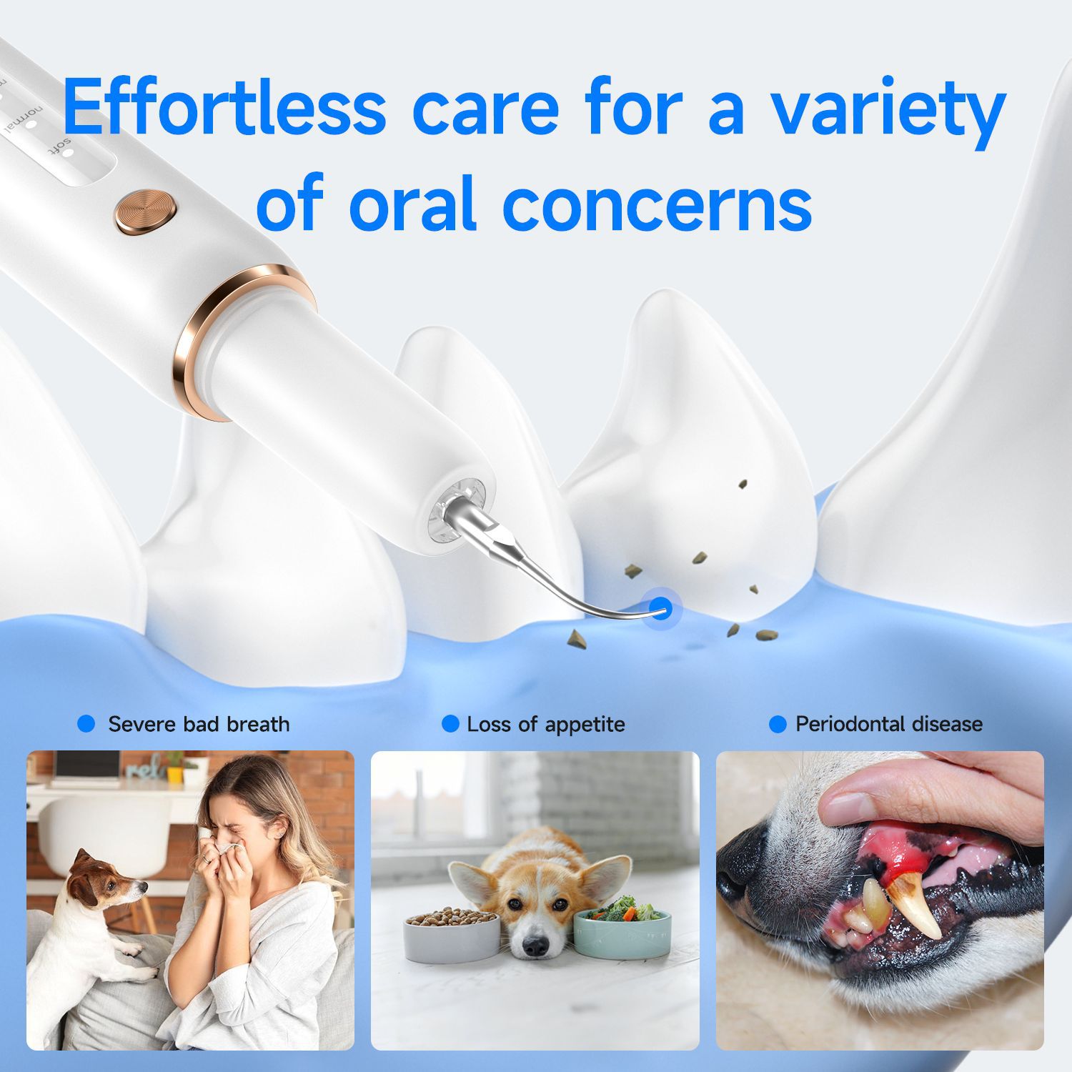 Cross-Border Calculus Removal Pet Electric Tooth Cleaner Dog Yueer Bending Ultrasonic Tooth Cleaner Factory Wholesale