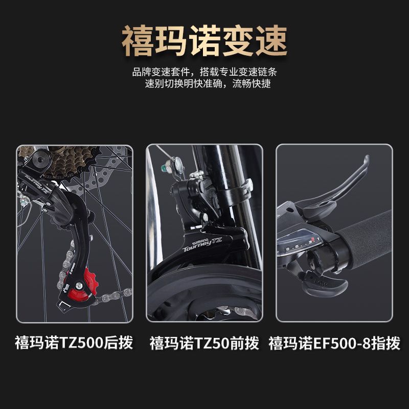 Phoenix Long-Distance Travel Bicycle Sichuan-Xizang Line Butterfly Handlebar Aluminum Alloy Mountain Bike Variable Speed Road Bicycle