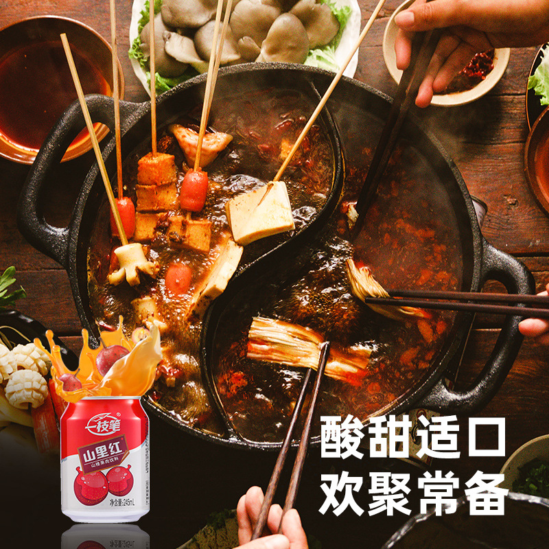 [a Pen] Mountain Red Hawthorn Juice Drink Sweet and Sour 245ml