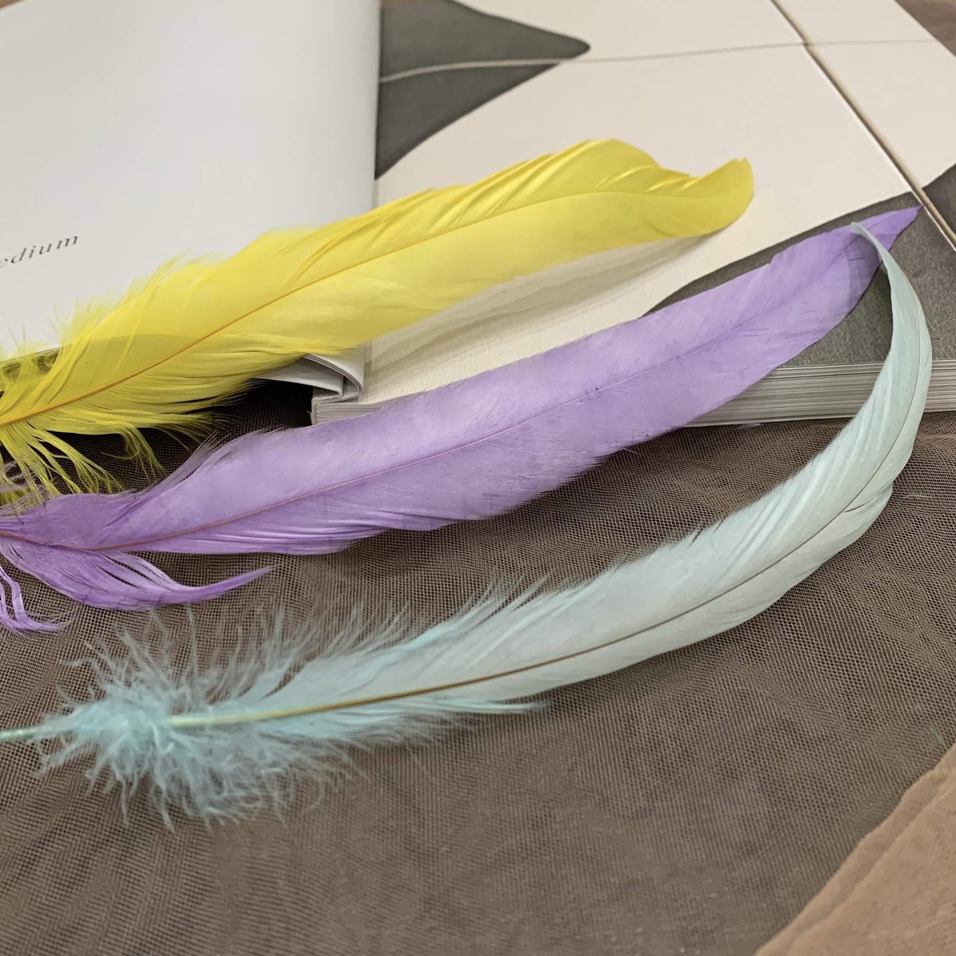 In-Stock Colorful Rooster Tail 20-45cm Faded Dyed Feather Decoration Cat Teaser Wand Toy Material Available in Multiple Colors